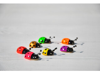 Кликните для увеличения изображения Магнит